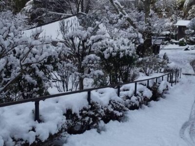 里山の雪景色